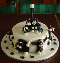 Cat Cake